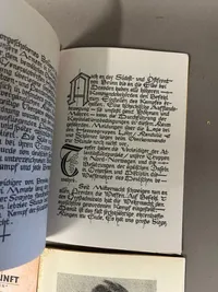Efterkrigs ny nazistisk literatur