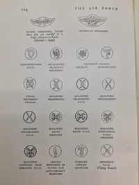 Godt opslagsværk om tyske uniformer, badges mm.