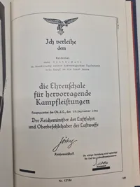 Godt opslagsværk om tyske abzeichens, badges mm.