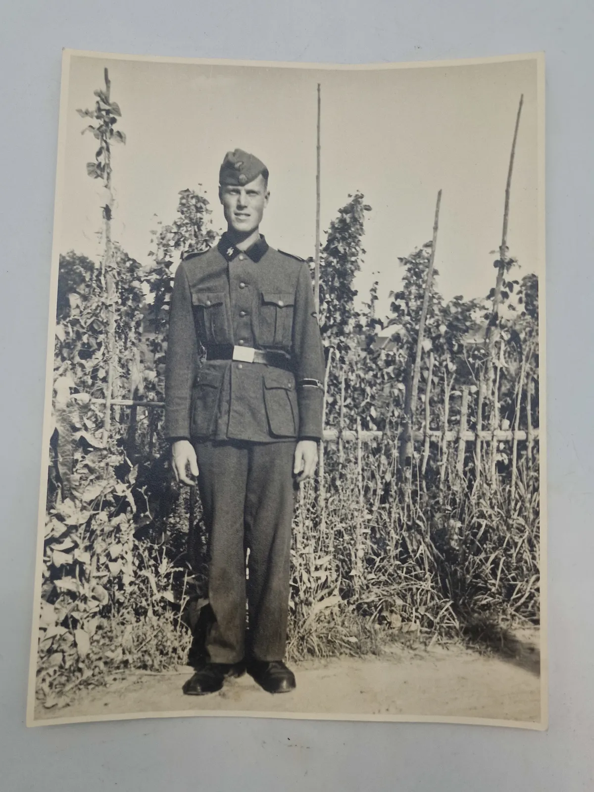 Originalt stort foto af Waffen-SS mand Legion Netherlands