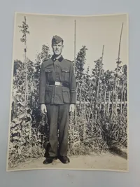 Originalt stort foto af Waffen-SS mand Legion Netherlands