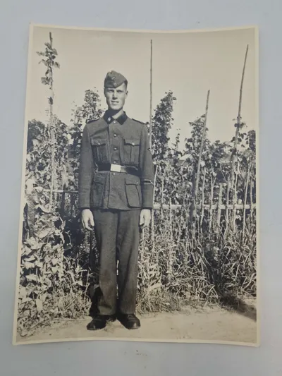 Originalt stort foto af Waffen-SS mand Legion Netherlands