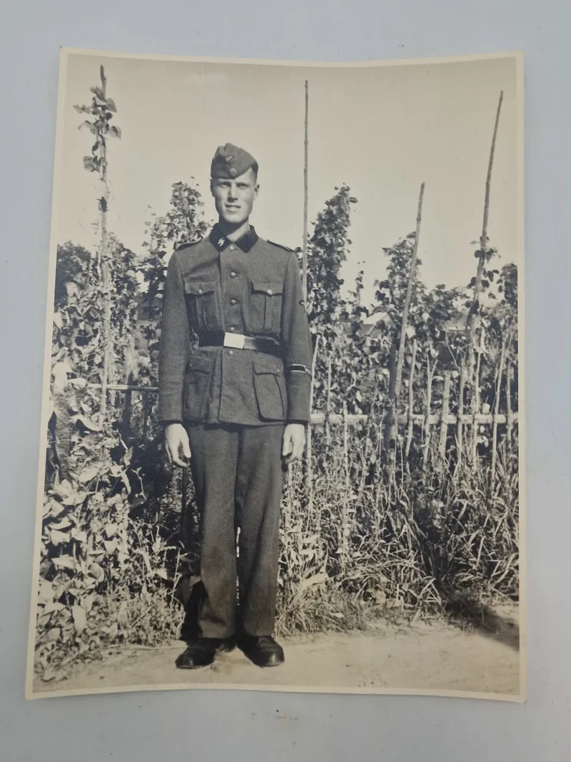 Originalt stort foto af Waffen-SS mand Legion Netherlands