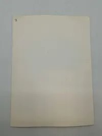 Originalt stort foto af Waffen-SS mand Legion Netherlands
