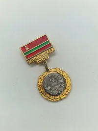 Samling militæres pins og nåle mm
