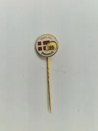 Samling militæres pins og nåle mm
