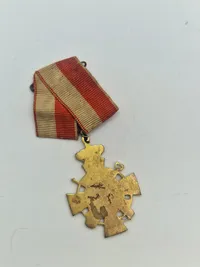 Samling militæres pins og nåle