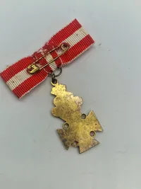 Samling militæres pins og nåle