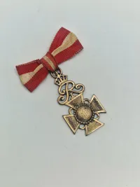 Samling militæres pins og nåle