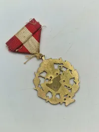 Samling militæres pins og nåle