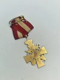 Samling militæres pins og nåle