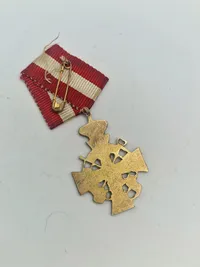 Samling militæres pins og nåle