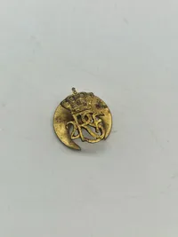 Samling militæres pins og nåle