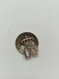 Samling militæres pins og nåle