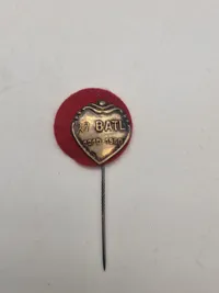 Samling militæres pins og nåle