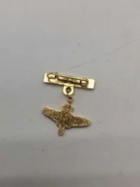Samling militære pins og nåle