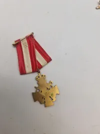Samling militære pins og nåle