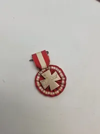 Samling militære pins og nåle