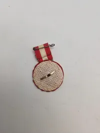 Samling militære pins og nåle