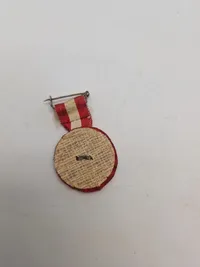 Samling militære pins og nåle