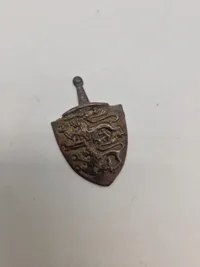 Samling militære pins og nåle