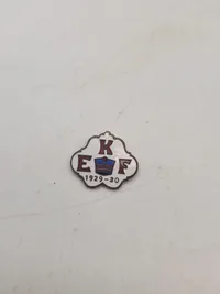 Samling militære pins og nåle