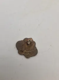 Samling militære pins og nåle
