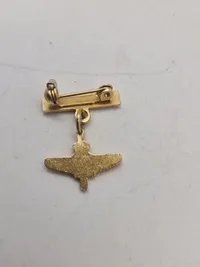 Samling militære pins og nåle