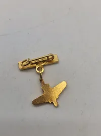 Samling militære pins og nåle