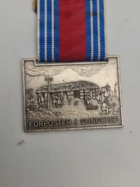Samling medaljer 1864 march