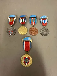 Medaljer de blå baretter