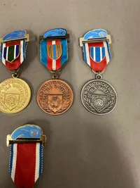 Medaljer de blå baretter