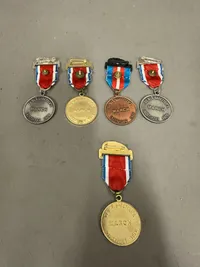Medaljer de blå baretter