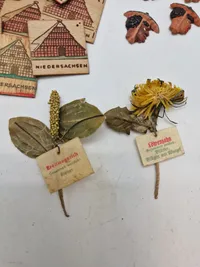 Samling originale WinterHilfswerke mærker - ww2