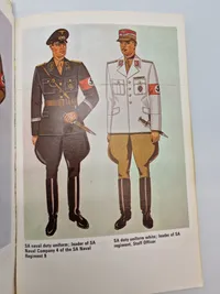 Nazi regalia