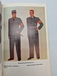 Nazi regalia