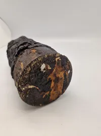 Originalt kadesk skud fra den russiske Den russiske orlogsfregat Pervoj/Perwoy/Pervy der sank 30/9-1758 ud for Kragestranden, ekstremt sjældent
