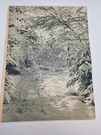 Sjælden Dansk nazistisk blad Daggry 1945