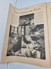Sjælden Dansk nazistisk blad Daggry 1945