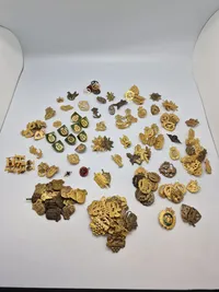 Stor samling Danske regiments mærker
