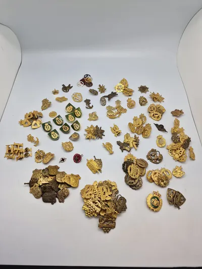Stor samling Danske regiments mærker