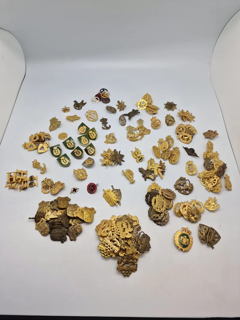 Stor samling Danske regiments mærker