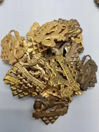 Stor samling Danske regiments mærker