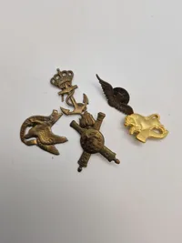 Stor samling Danske regiments mærker