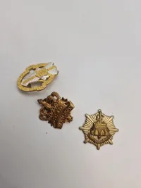 Stor samling Danske regiments mærker