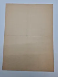 Sjælden original dansk SA indmeldelses blanket