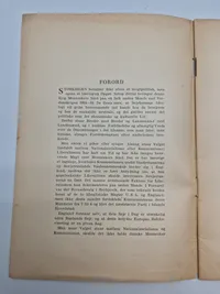 Sjælden originalt dansk nazistisk propaganda