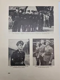 Diverse originale dansk nazistiske udklip