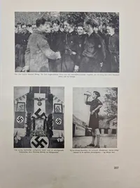 Diverse originale dansk nazistiske udklip