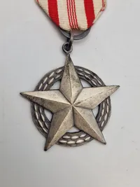 Samling originale cykel medaljer